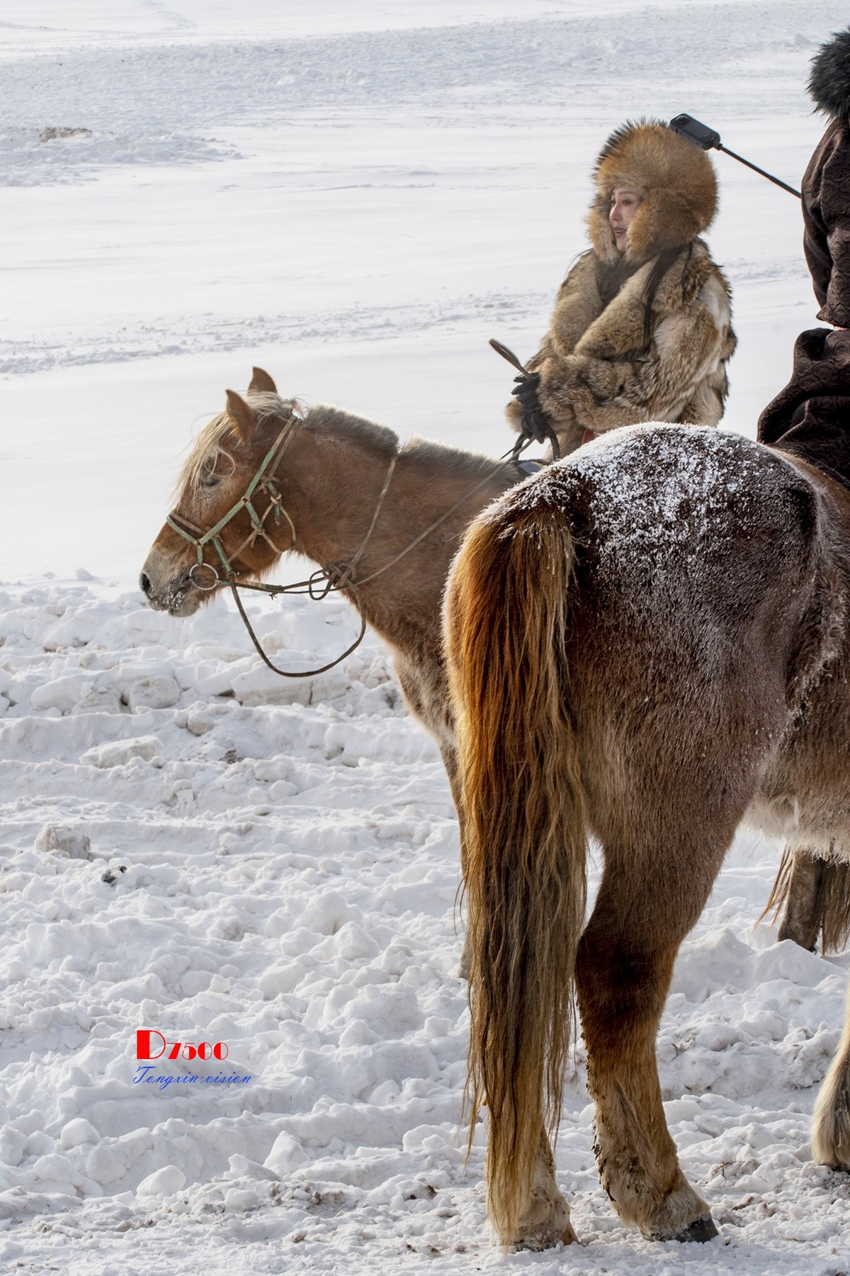 强健&靓丽的牧马人（33）