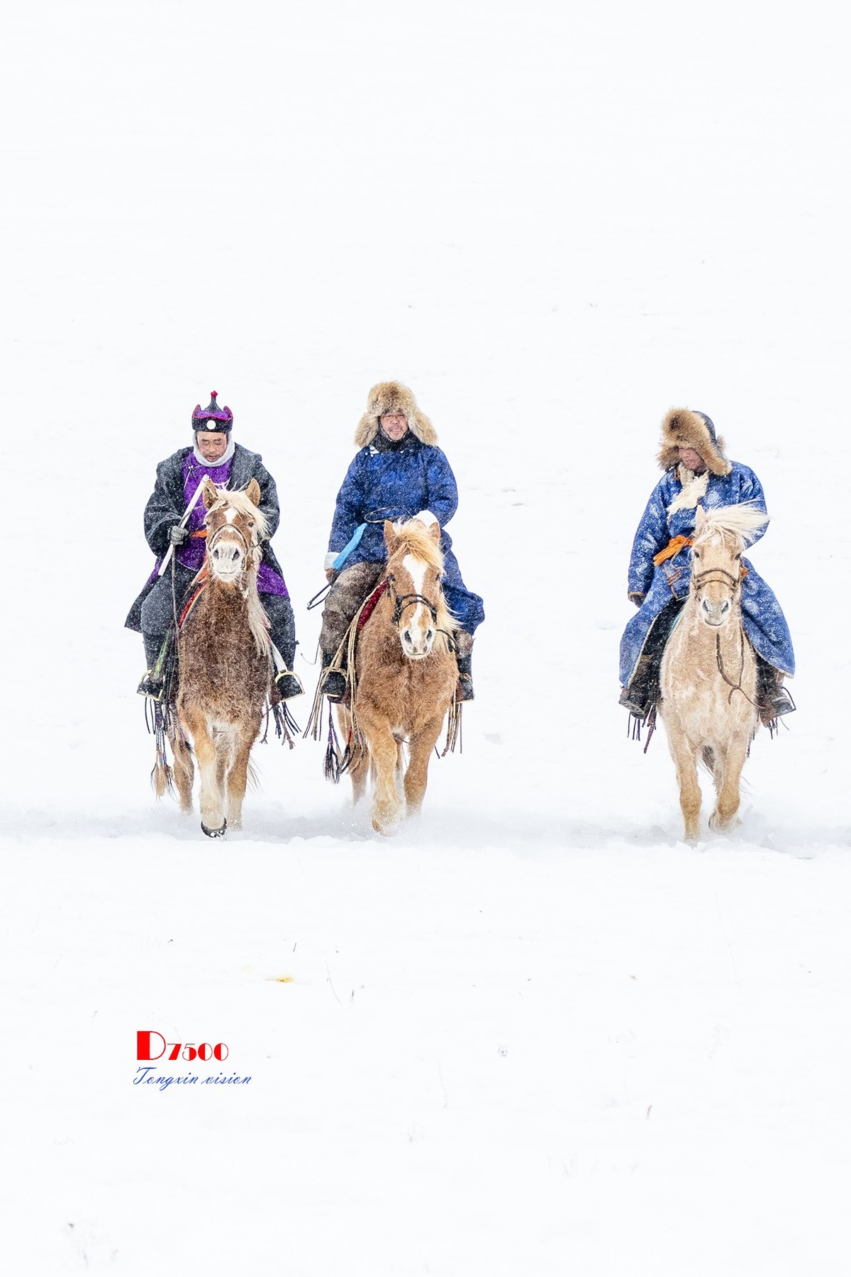 强健&靓丽的牧马人（33）