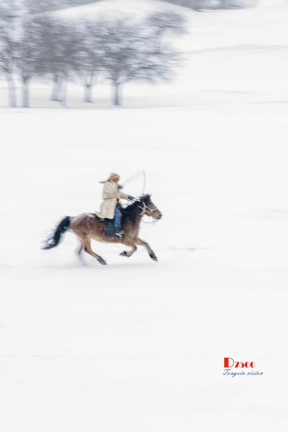 强健&靓丽的牧马人（33）