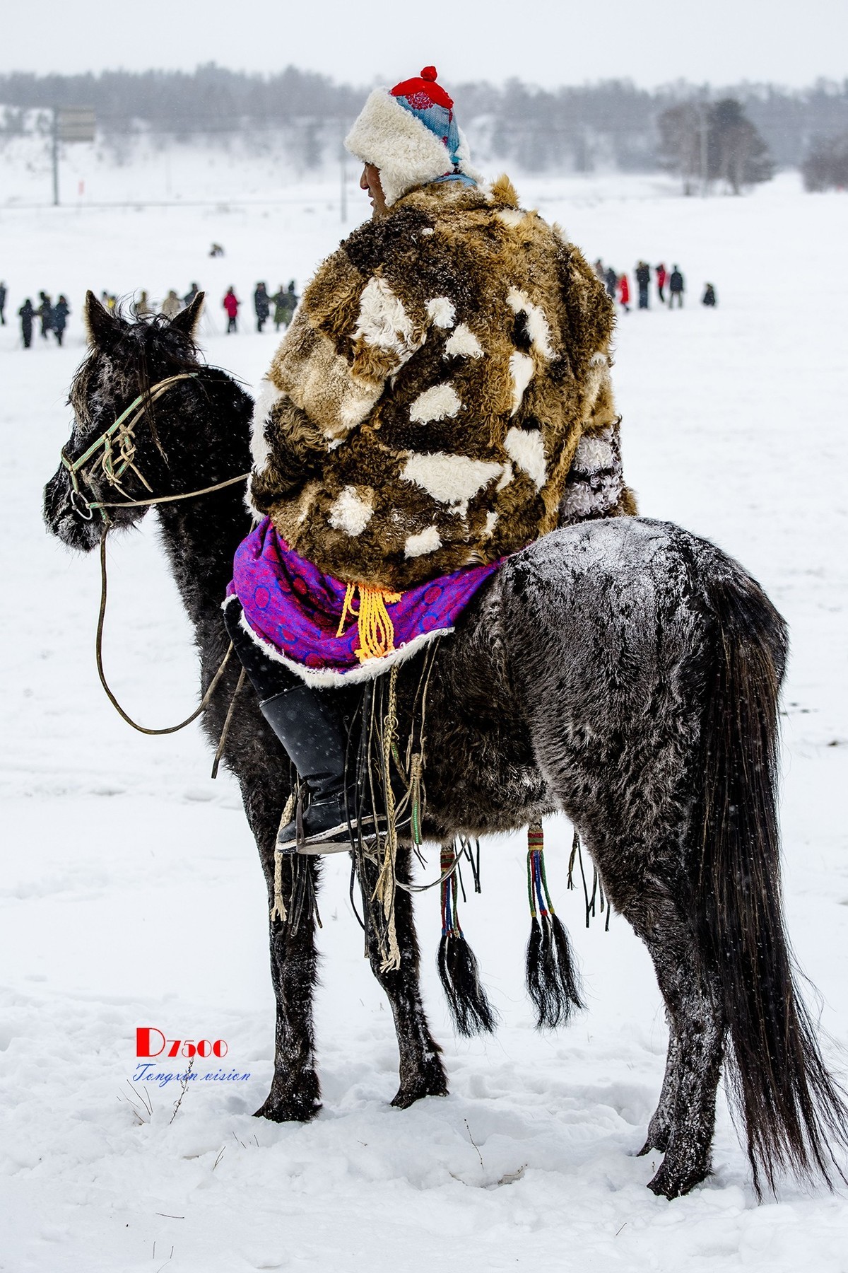 强健&靓丽的牧马人（33）