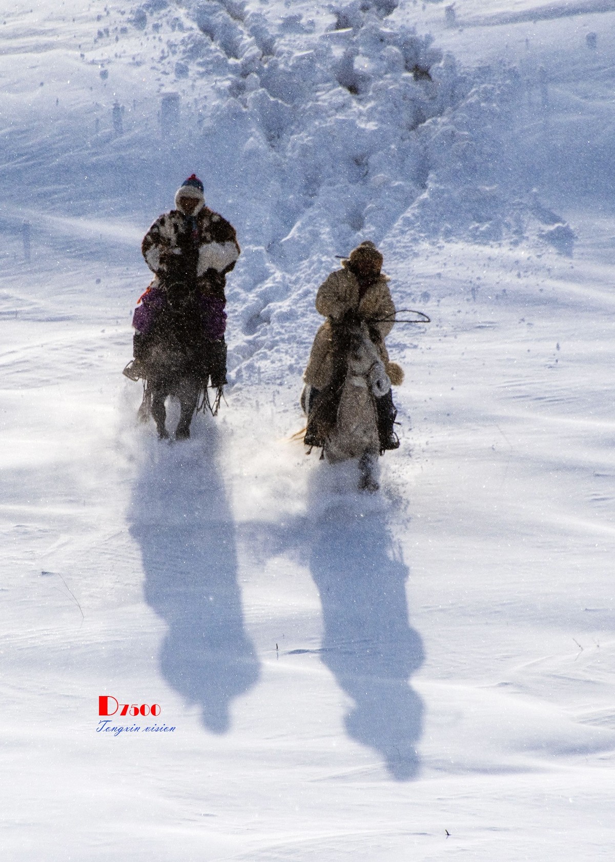 强健&靓丽的牧马人（33）