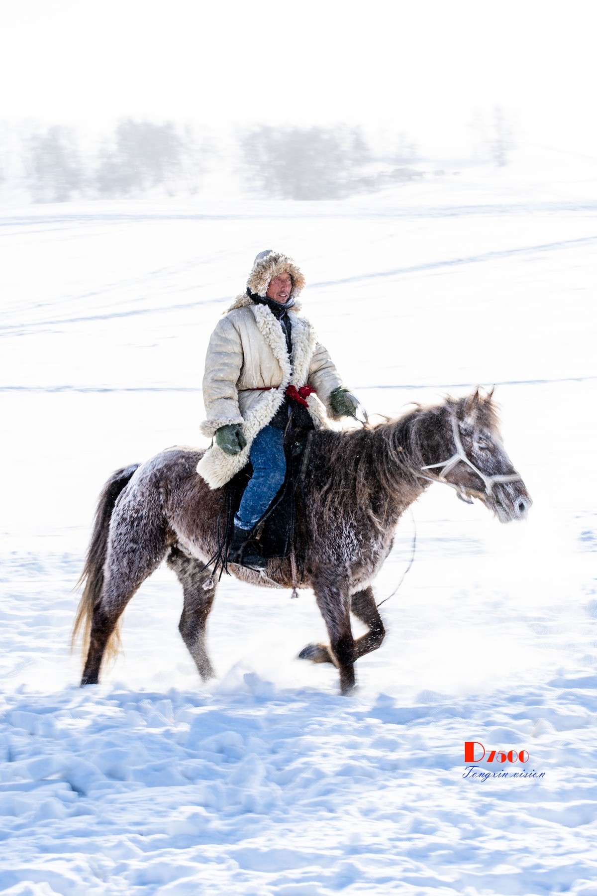 强健&靓丽的牧马人（33）