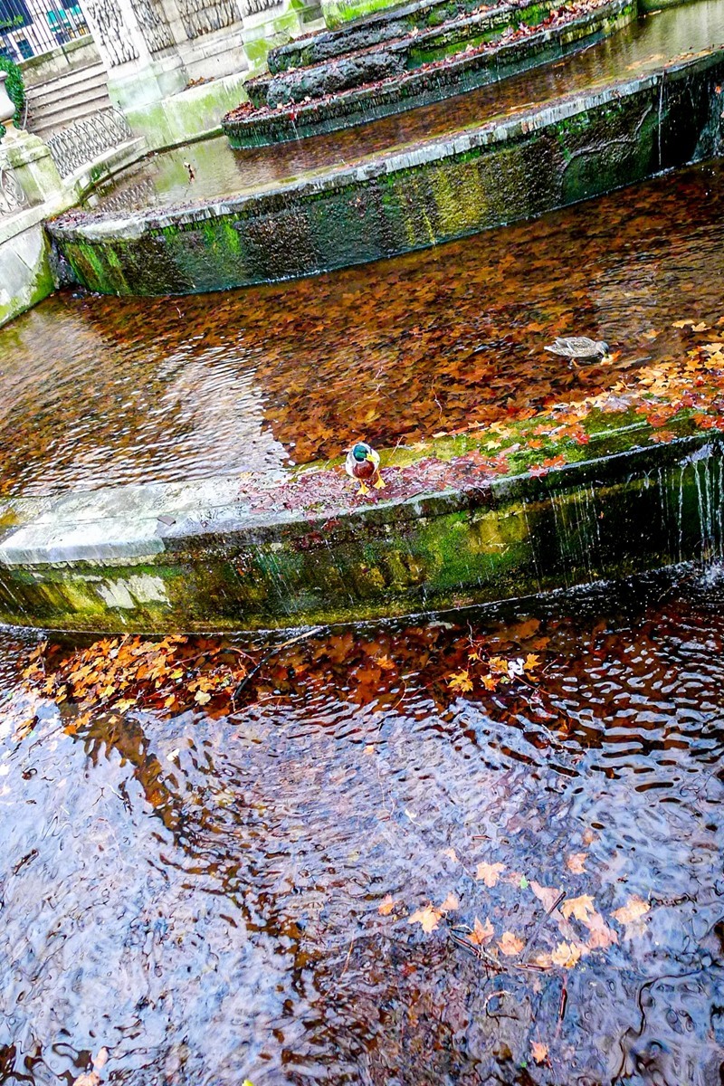 雕塑艺术（巴黎）