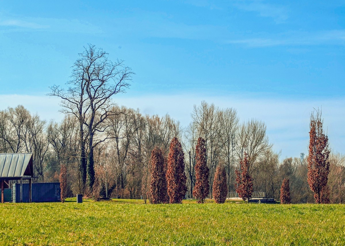 莱茵河畔春光美