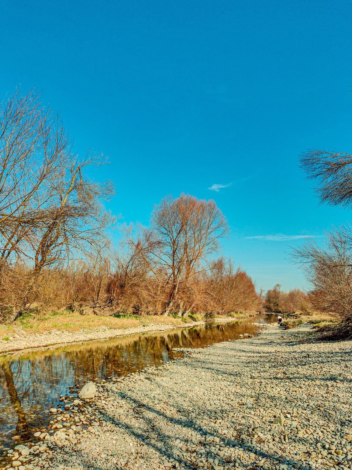 莱茵河畔春光美