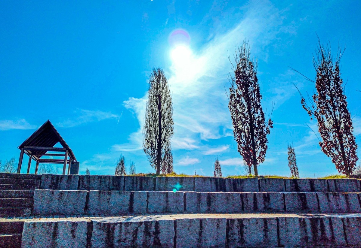 莱茵河畔春光美