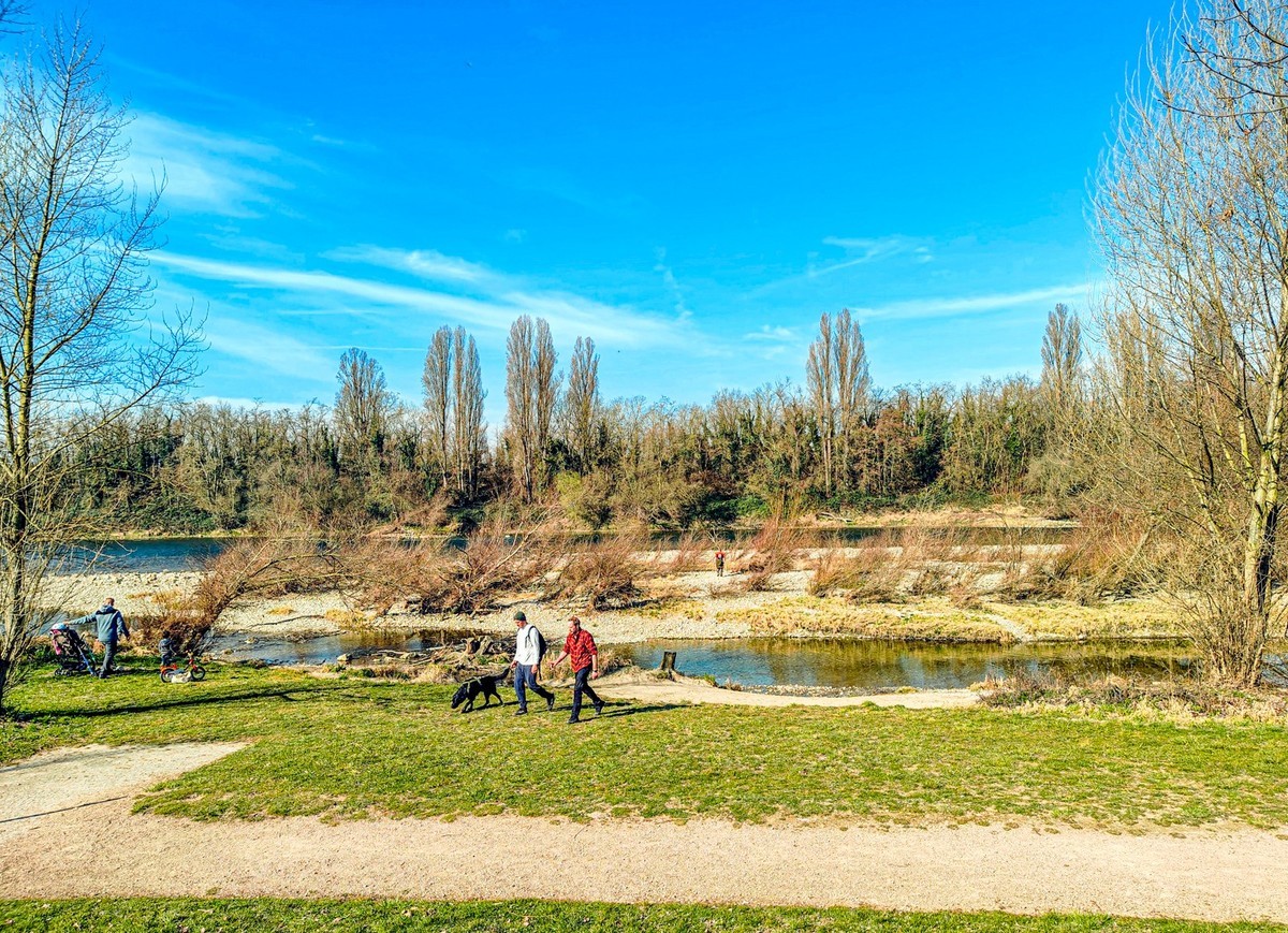 莱茵河畔春光美
