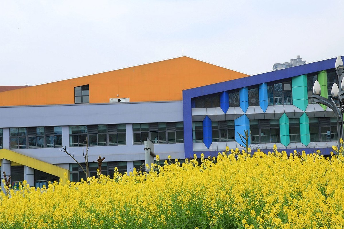 多彩油菜花【九】2025.089