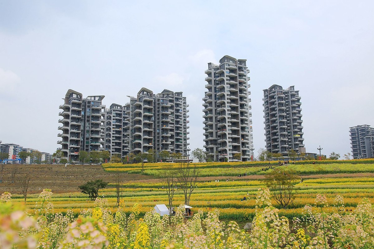 多彩油菜花【九】2025.089