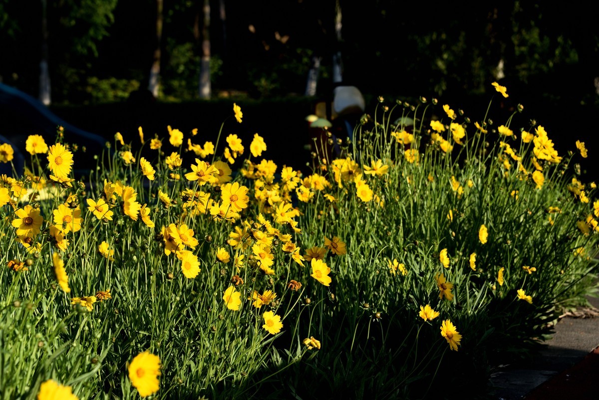 邛海湖畔【14】