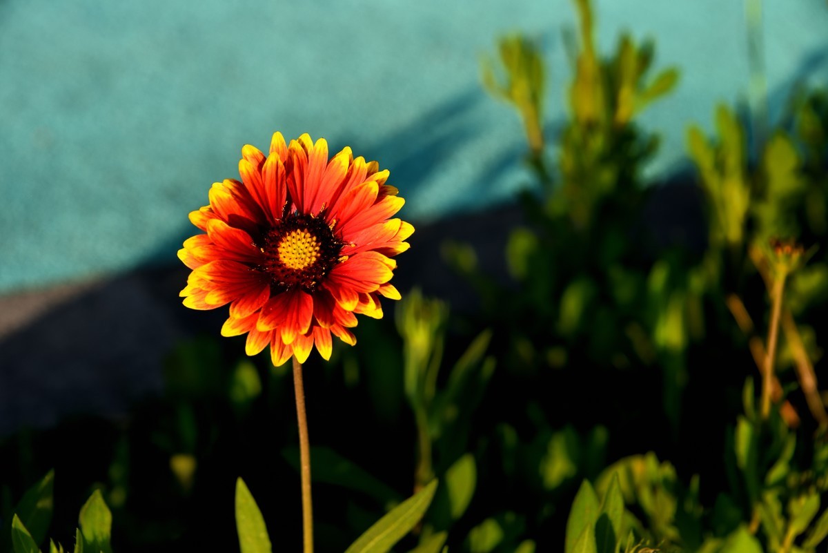 邛海湖畔【14】