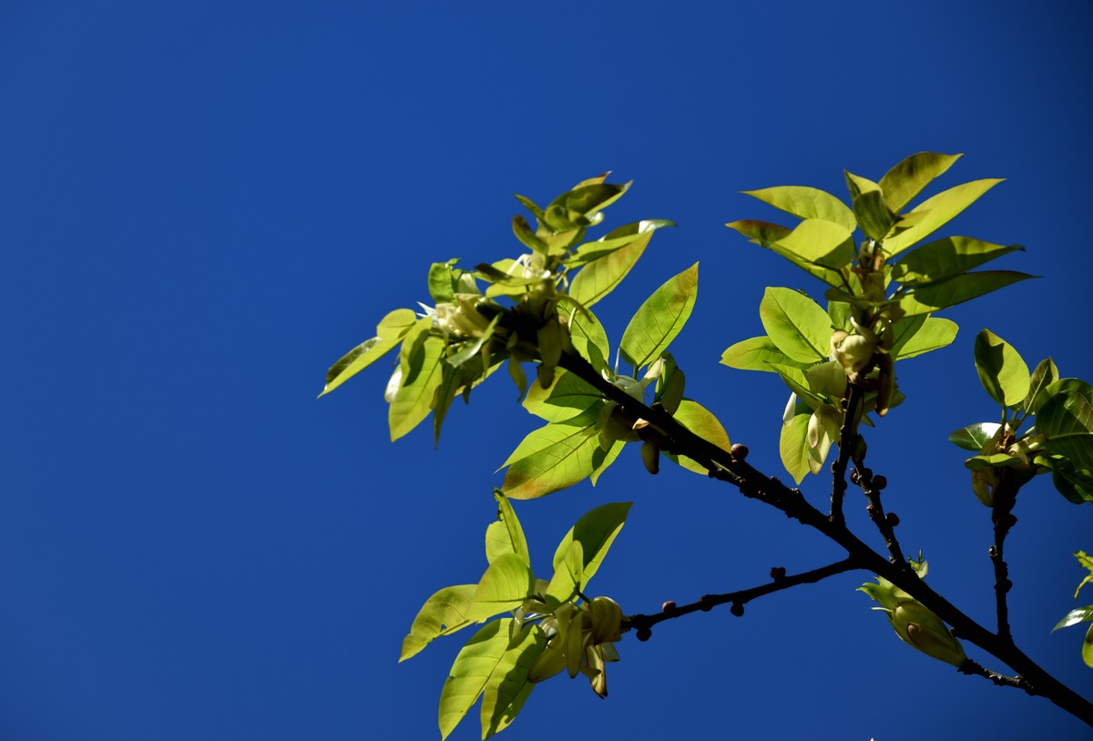 邛海湖畔【14】