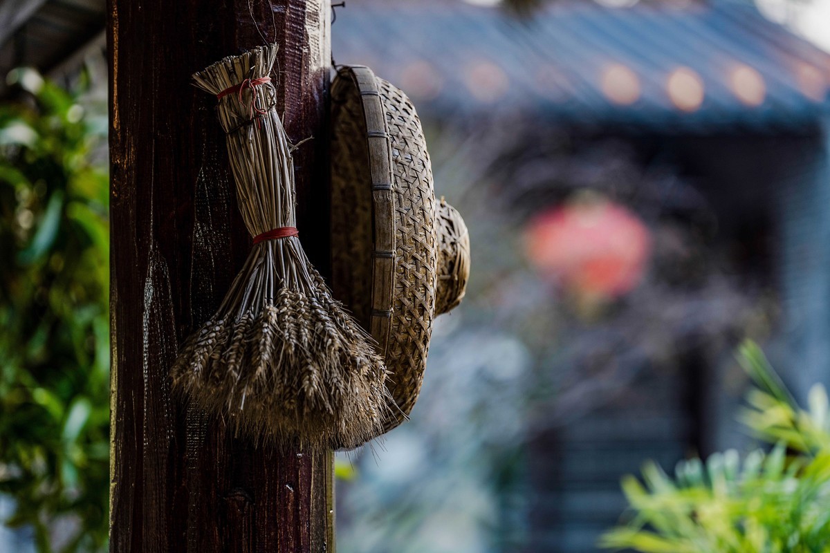 游历ZOL摄影星空(中国)十年一些回忆