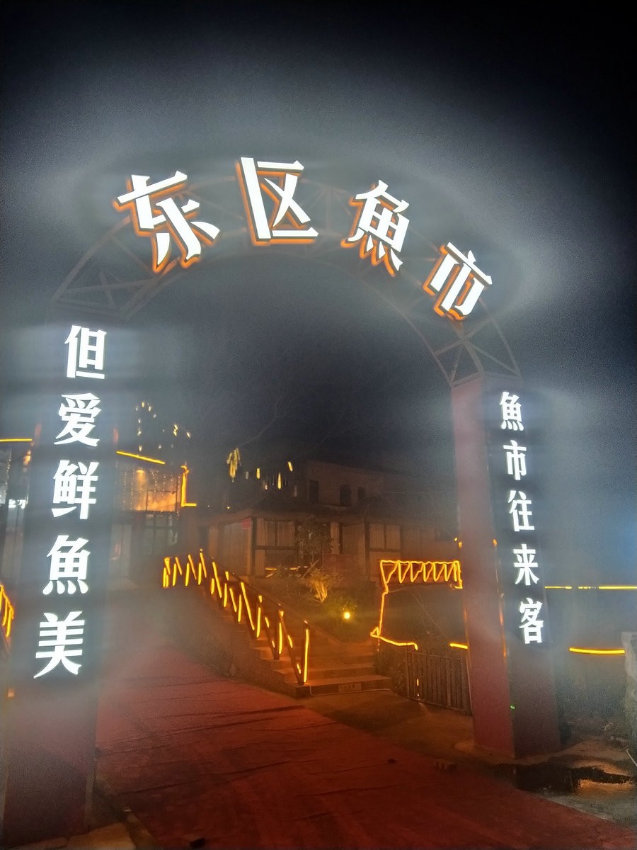 漫步星城 走街串巷（358）东区鱼市