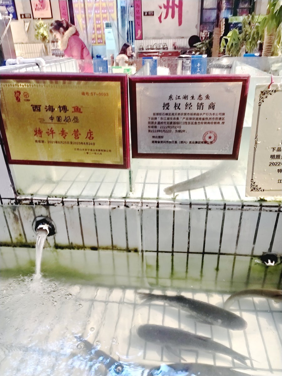 漫步星城 走街串巷（358）东区鱼市