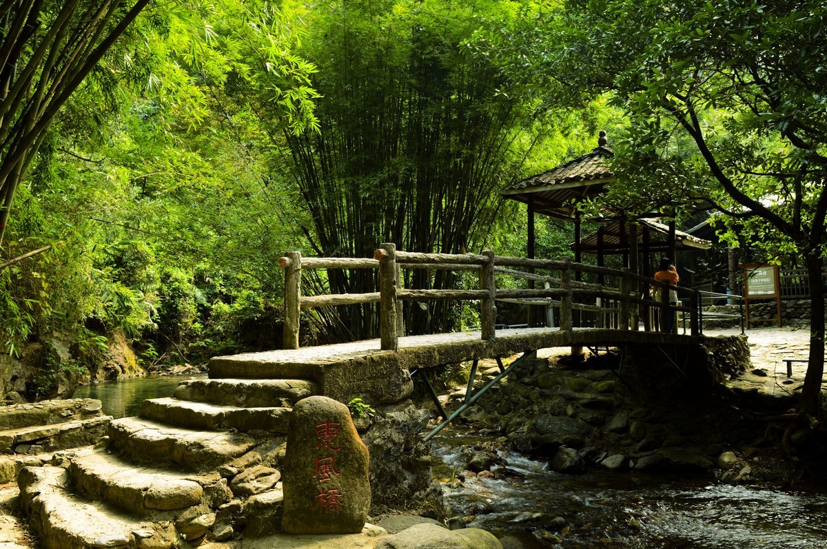 游紫云谷（二）