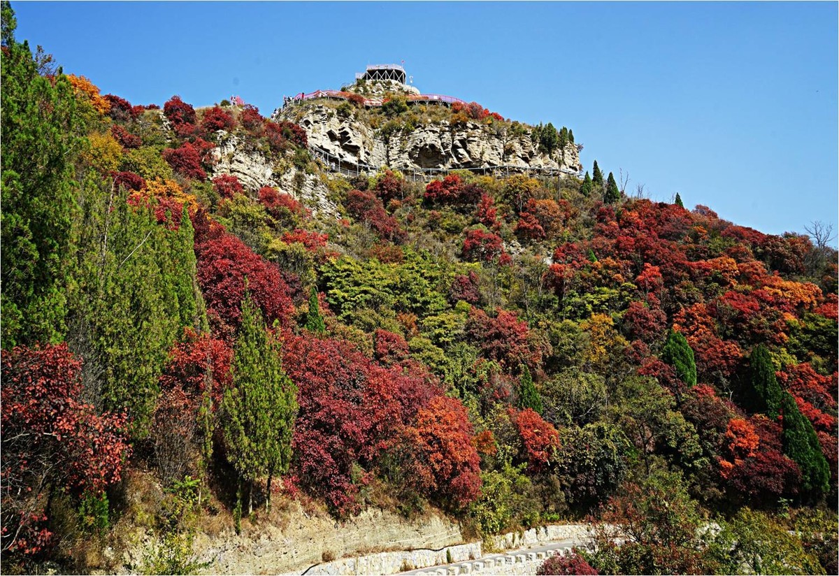 齐长城下红叶烂漫