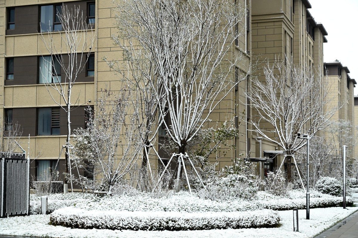 大连初冬第一场雪后随拍