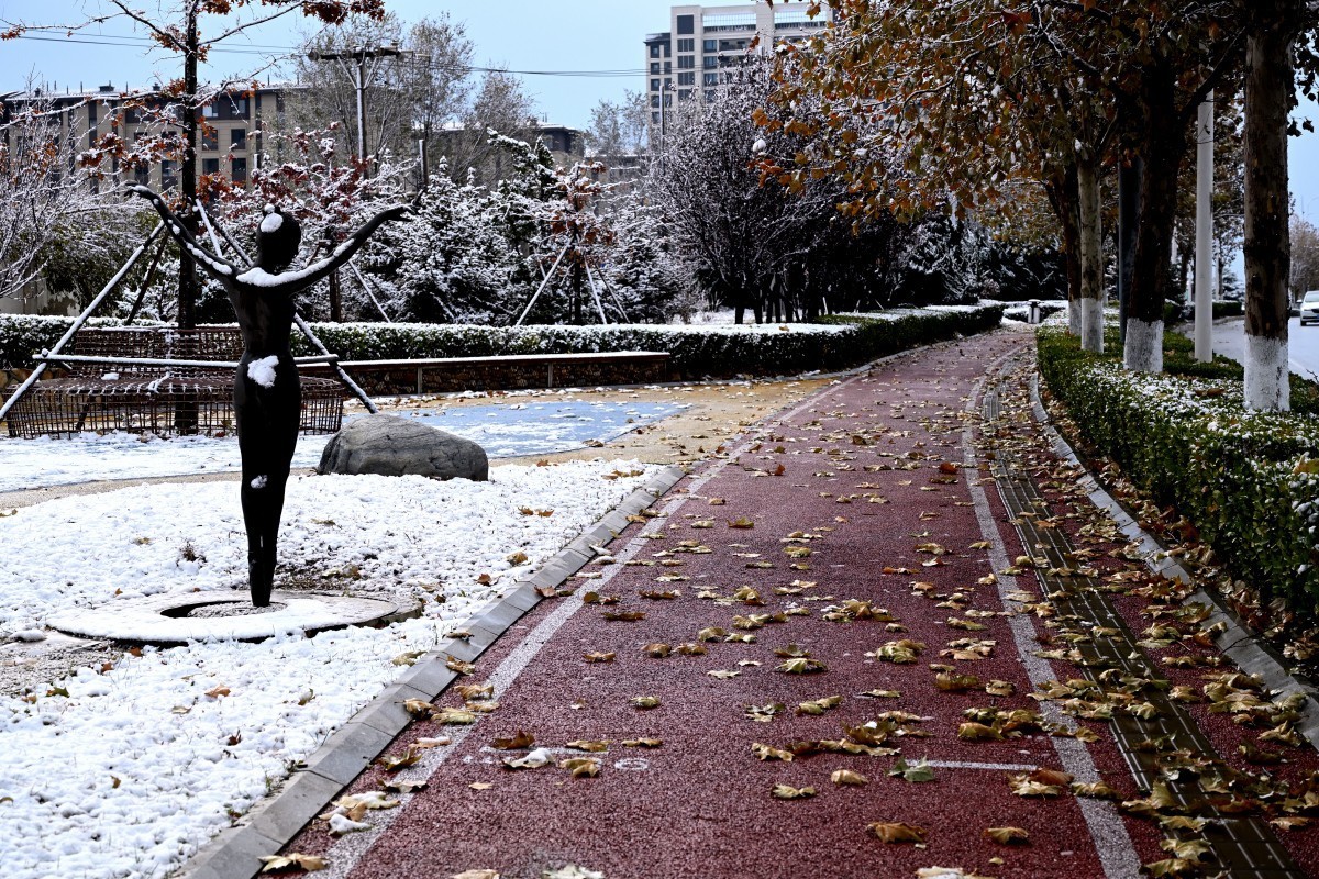 大连初冬第一场雪后随拍