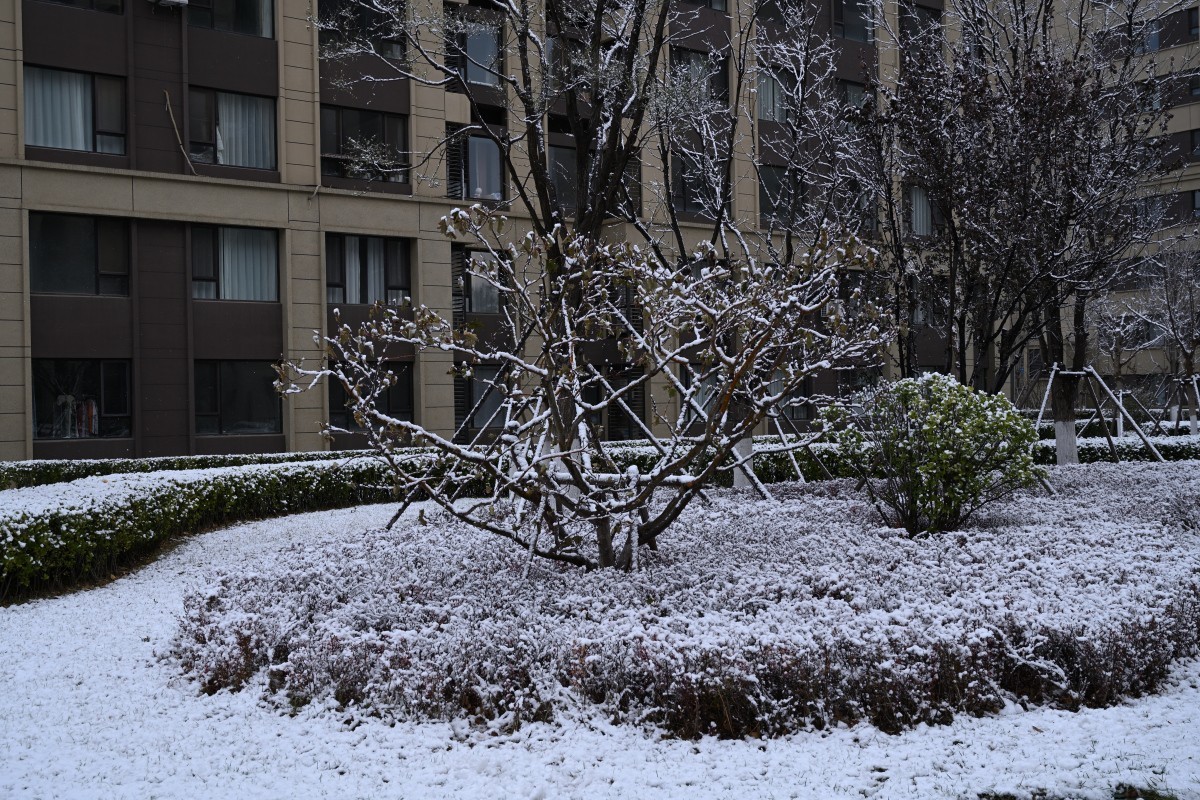 大连初冬第一场雪后随拍