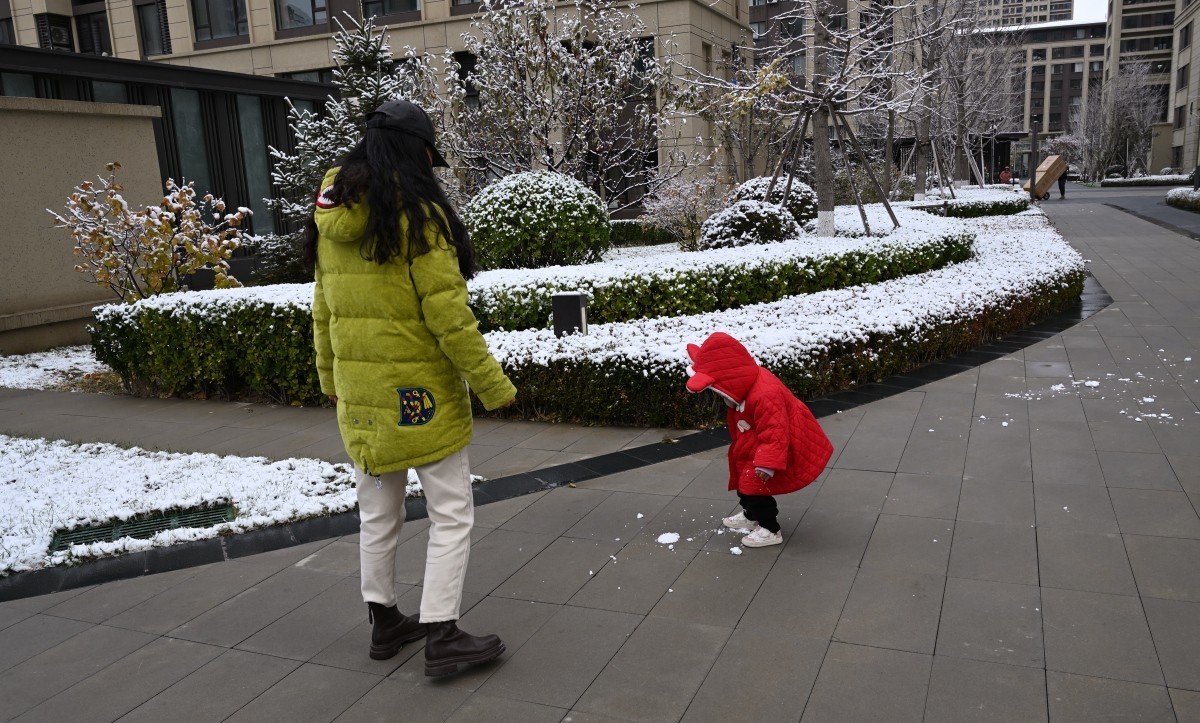 大连初冬第一场雪后随拍