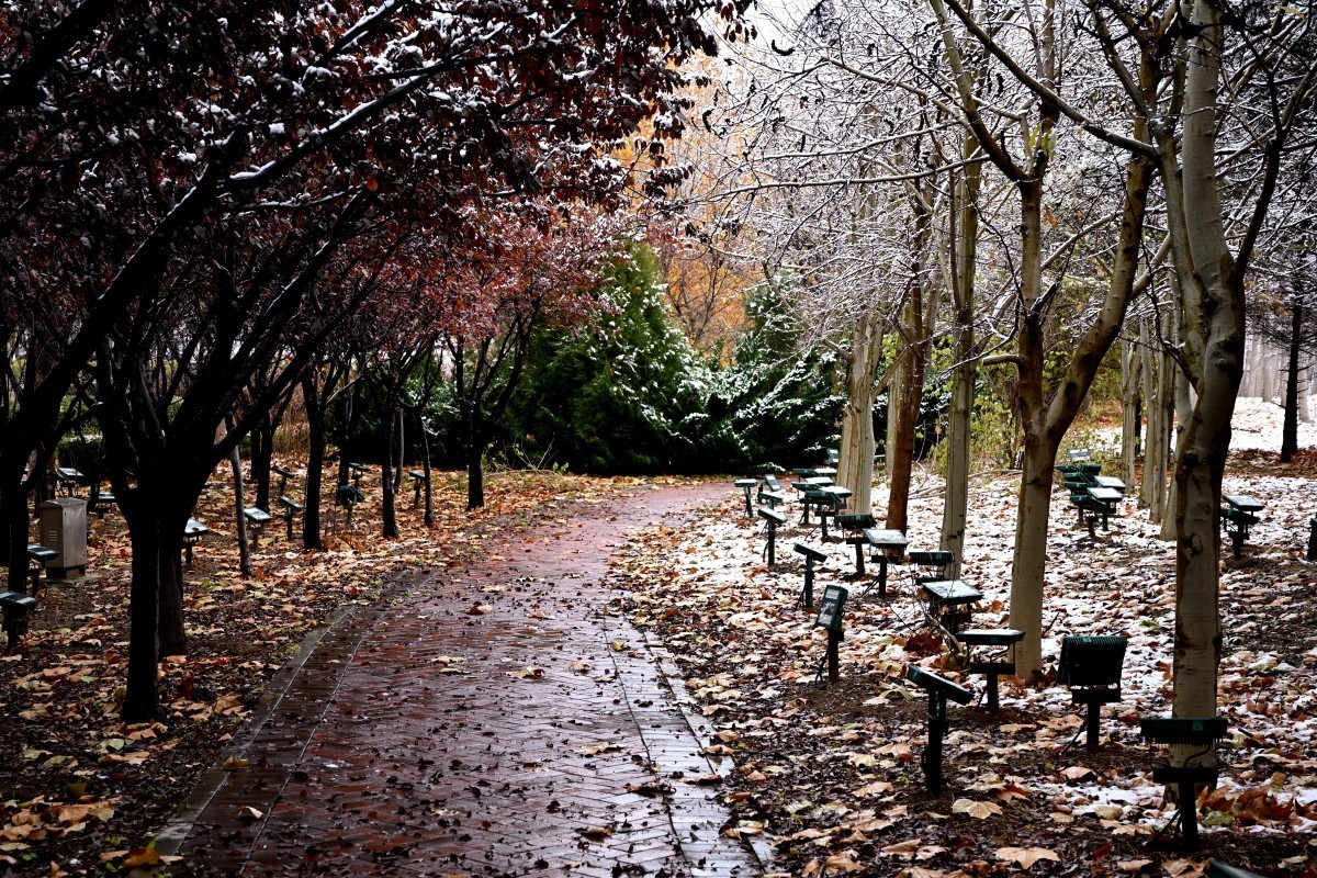 大连初冬第一场雪后随拍
