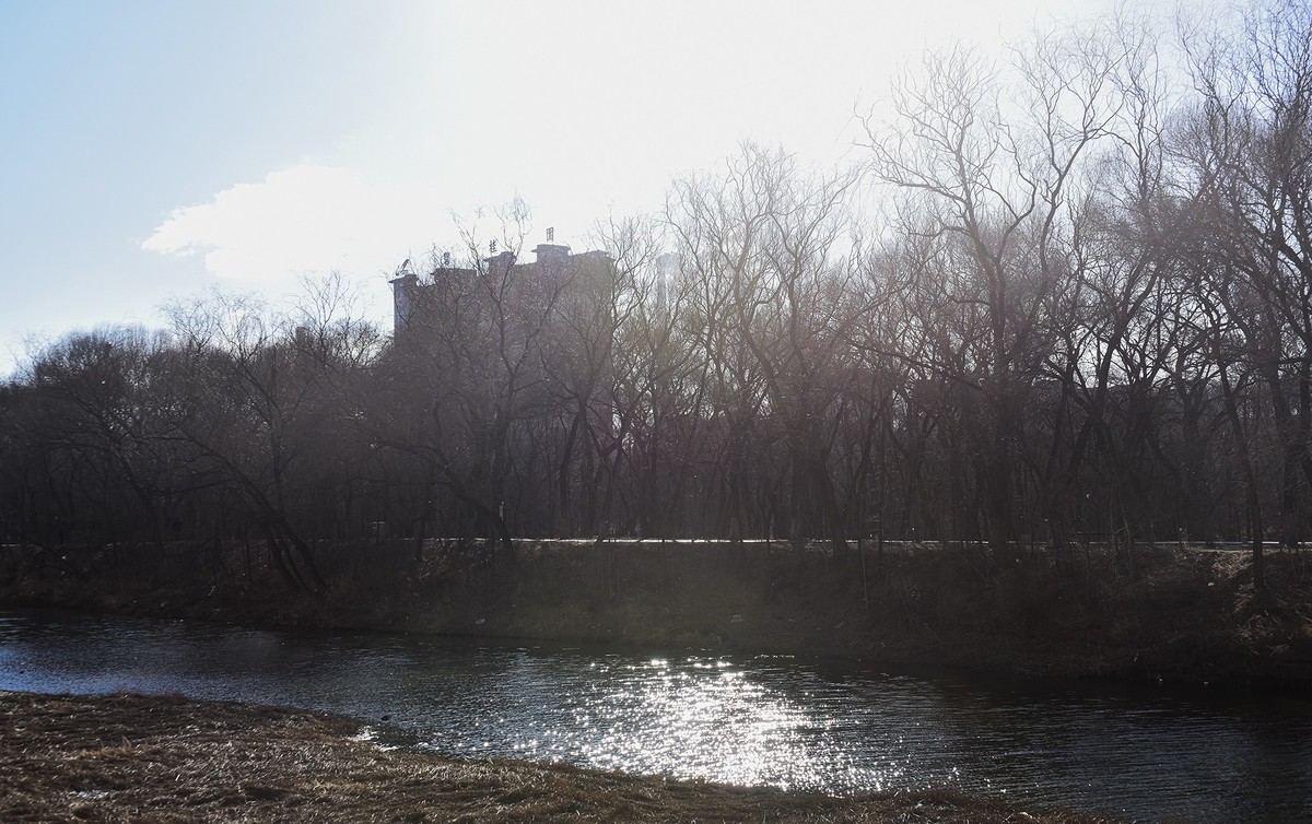 三一八公园  初春