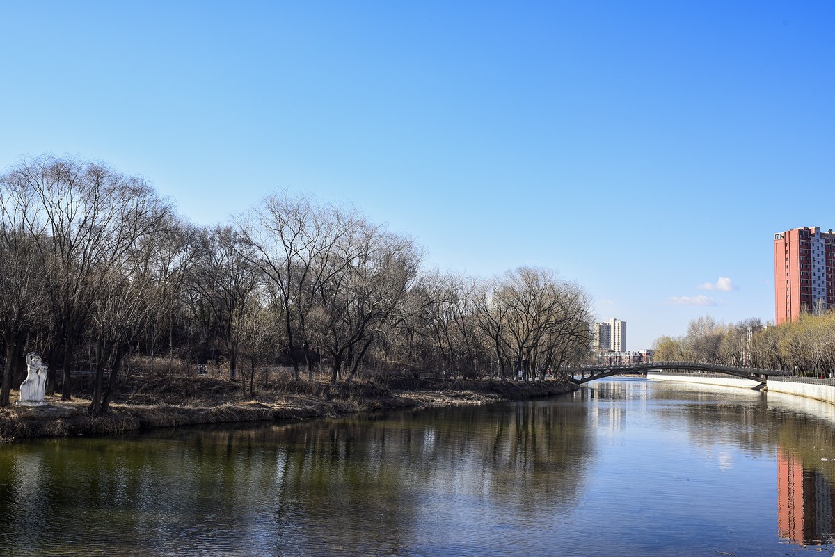 三一八公园  初春