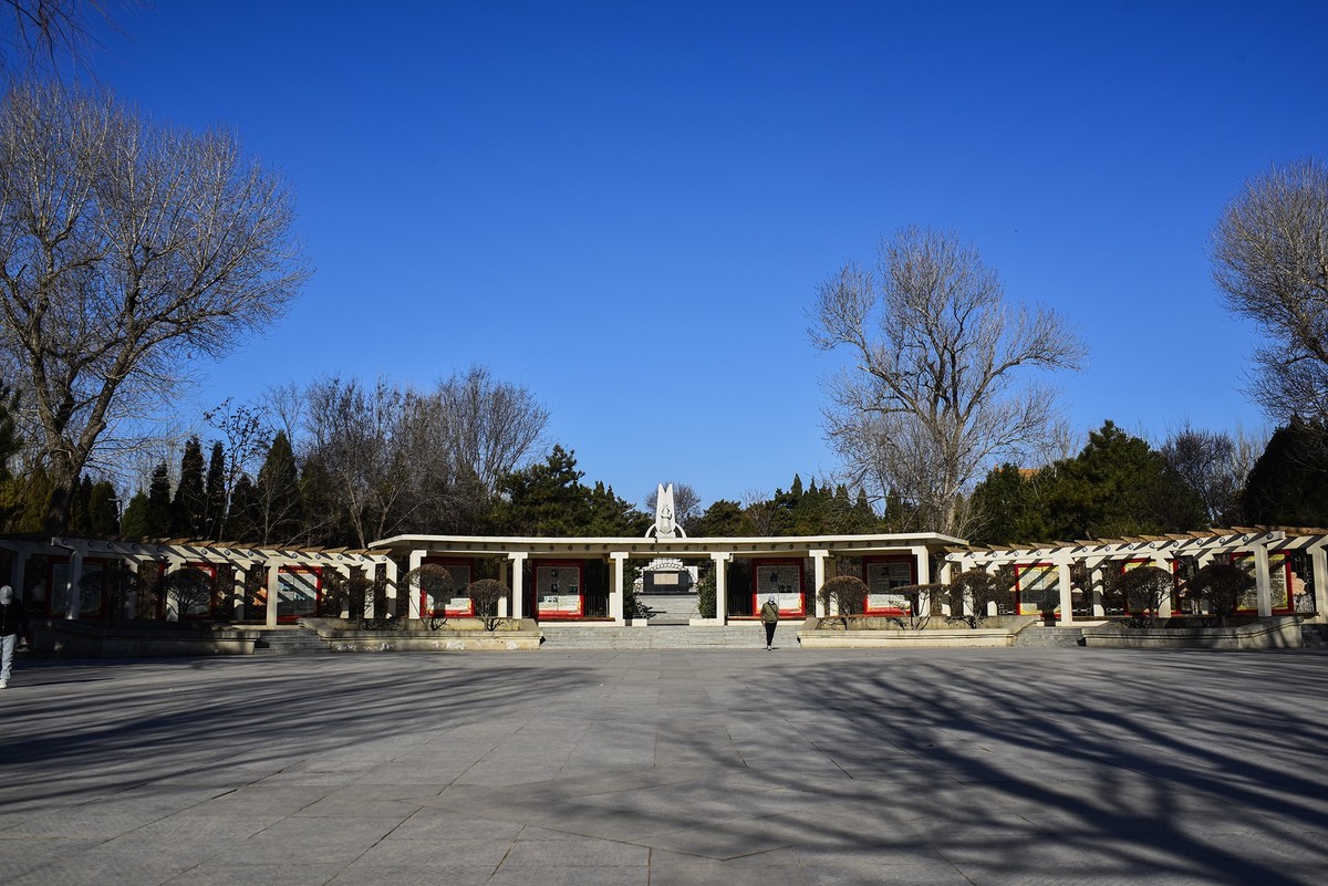 三一八公园  初春