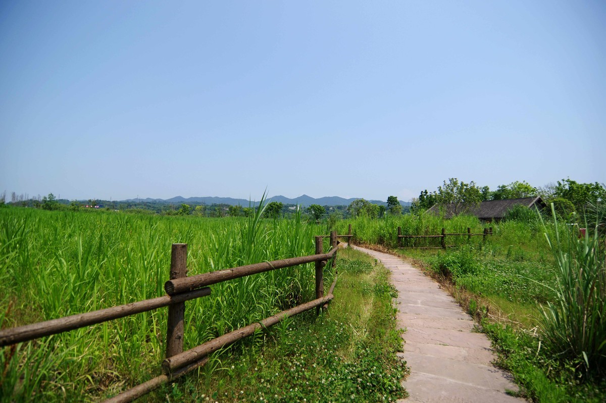 峡口镇生态农场