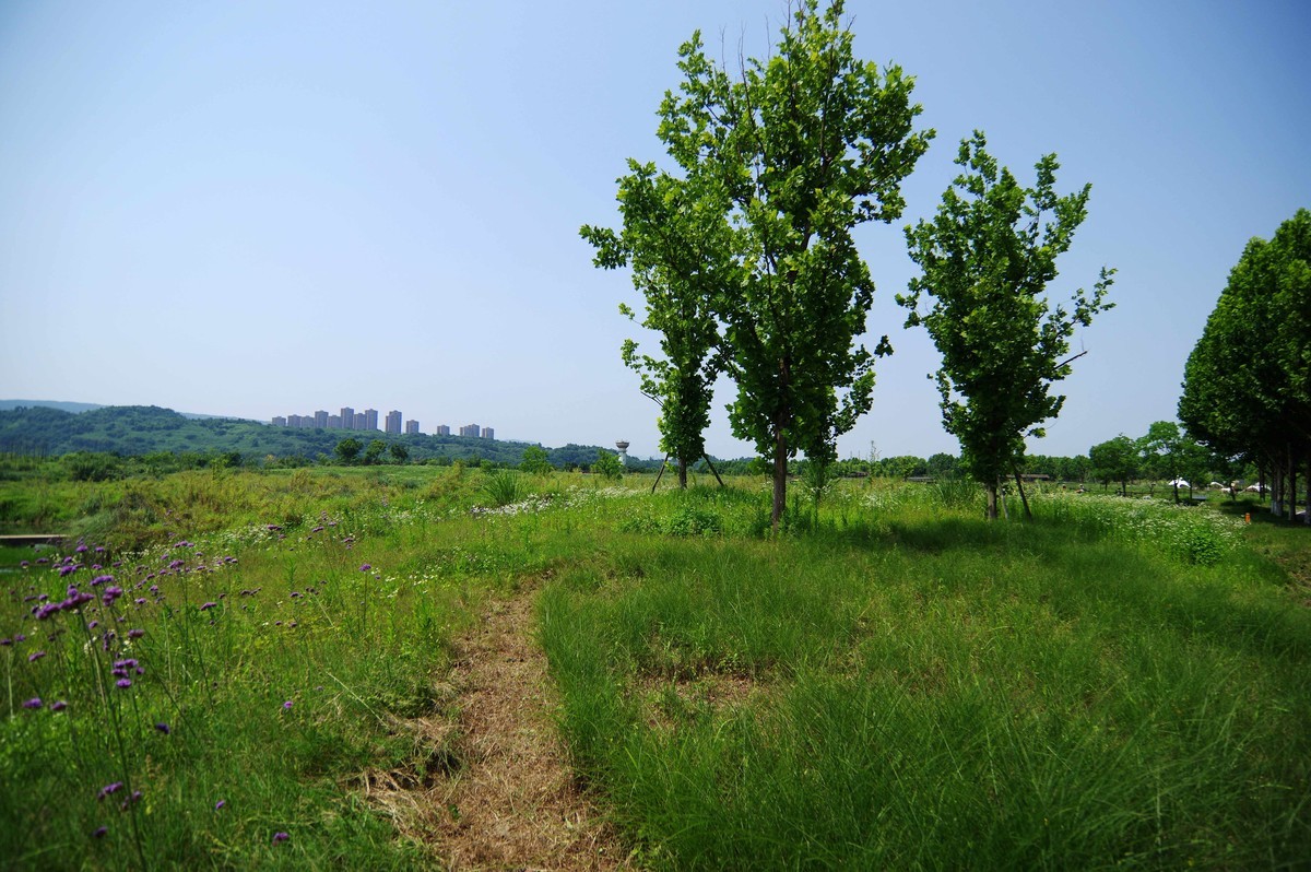 峡口镇生态农场