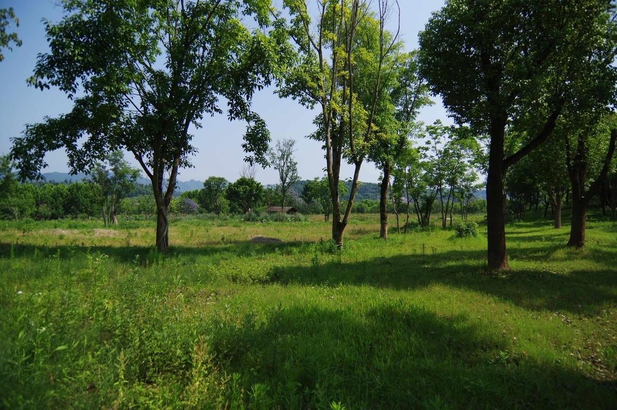 峡口镇生态农场