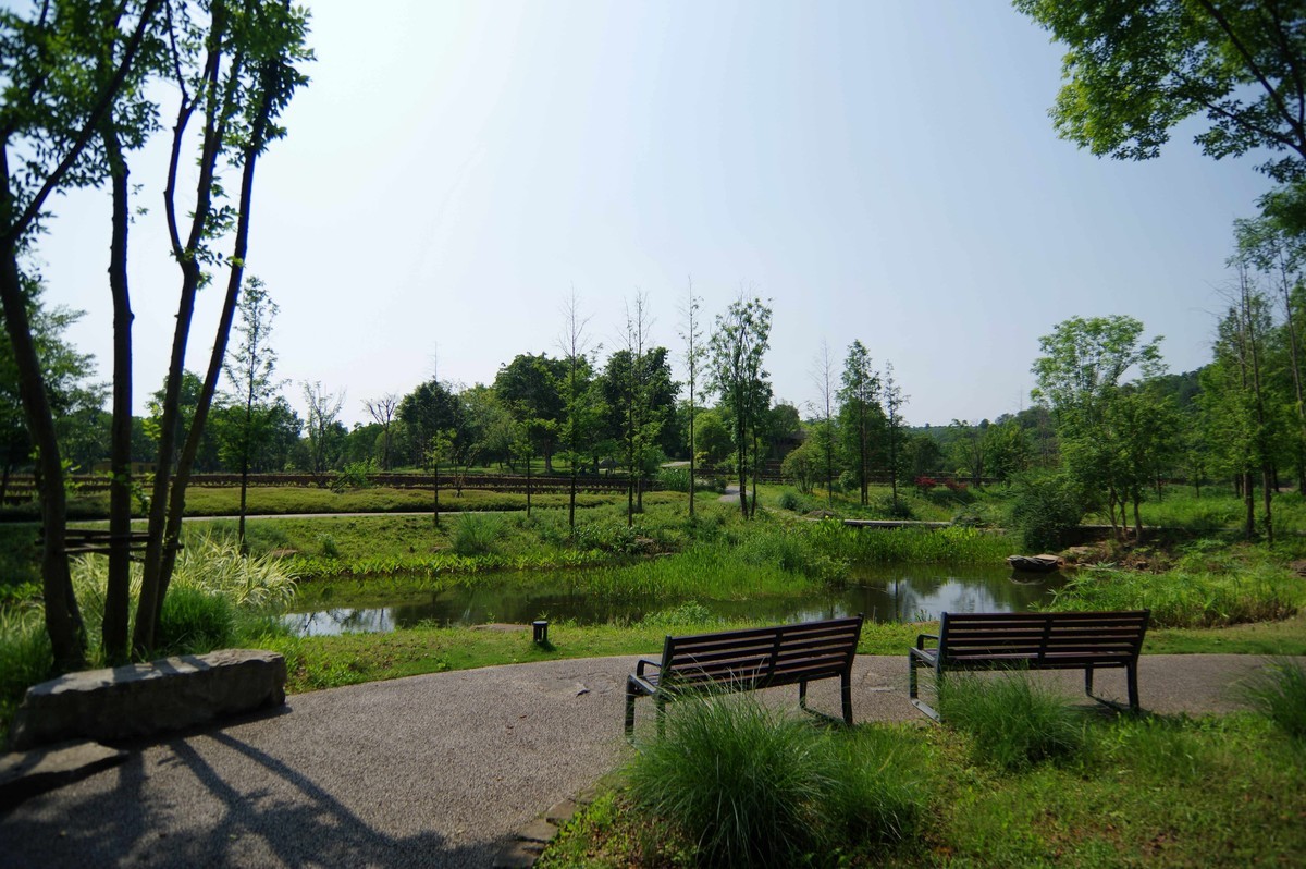 峡口镇生态农场