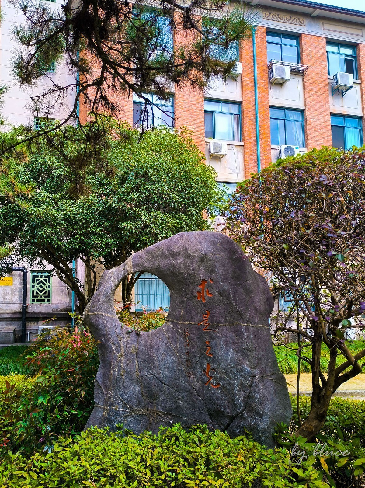 浙大校园（玉泉校区）随拍