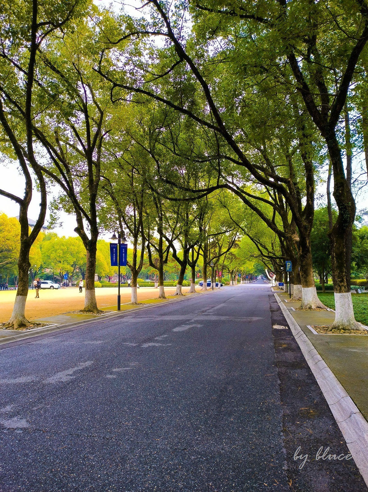 浙大校园（玉泉校区）随拍