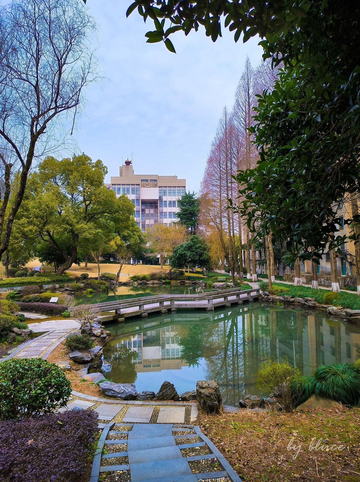 浙大校园（玉泉校区）随拍