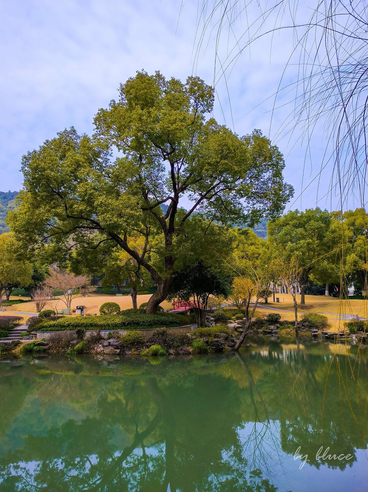 浙大校园（玉泉校区）随拍