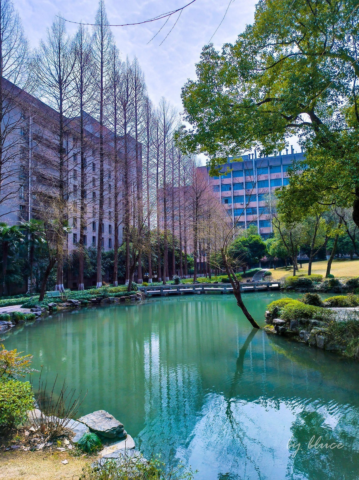 浙大校园（玉泉校区）随拍