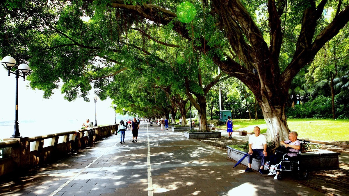 适马12-24mm f/4.5-5.6 EX DG HSM II试镜