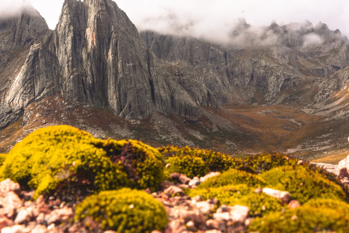 莲宝叶则    四川阿坝县