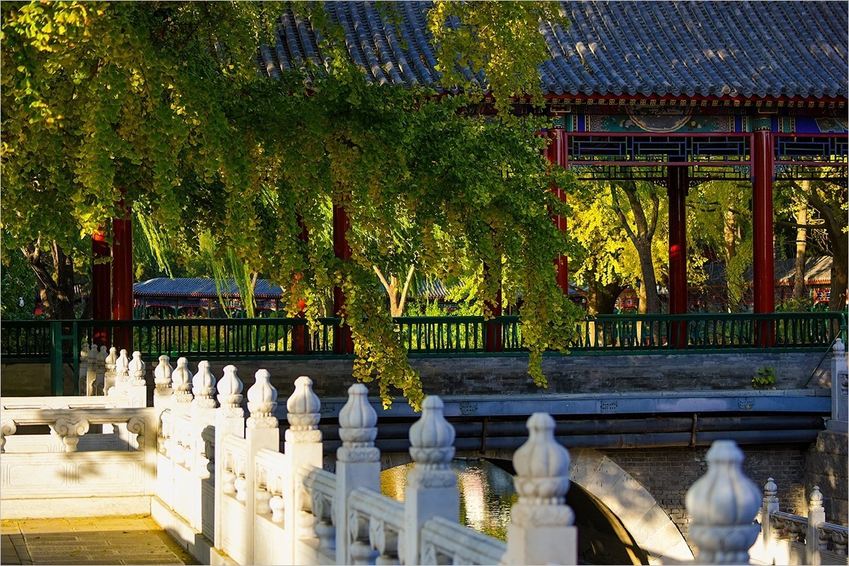 2024年第0780贴-中山公园纪实游拍（1018）