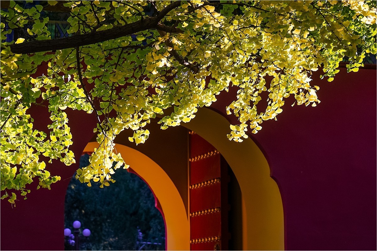 2024年第0780贴-中山公园纪实游拍（1018）