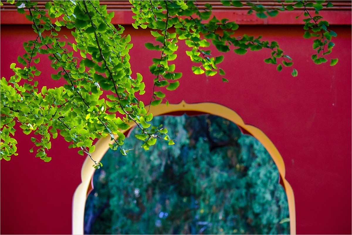 2024年第0780贴-中山公园纪实游拍（1018）