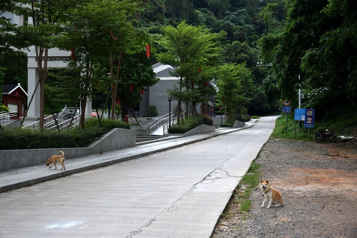 2024夏 海南环岛行（180）允升塔