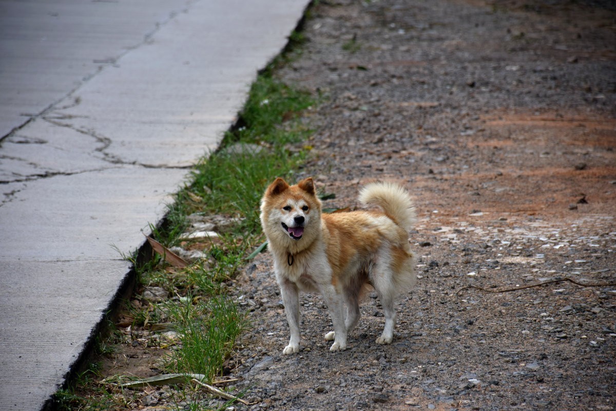 2024夏 海南环岛行（180）允升塔