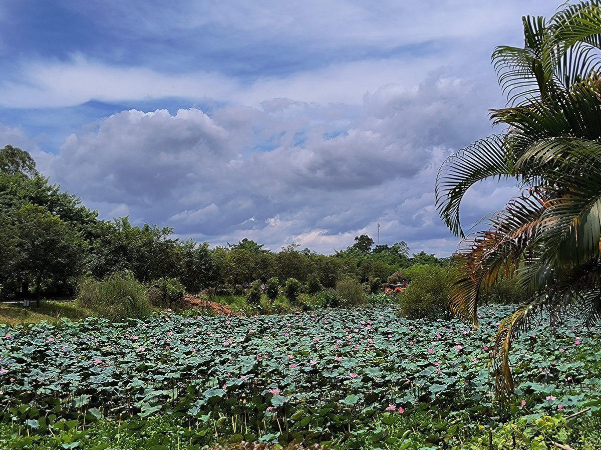 2024夏 海南环岛行（180）允升塔