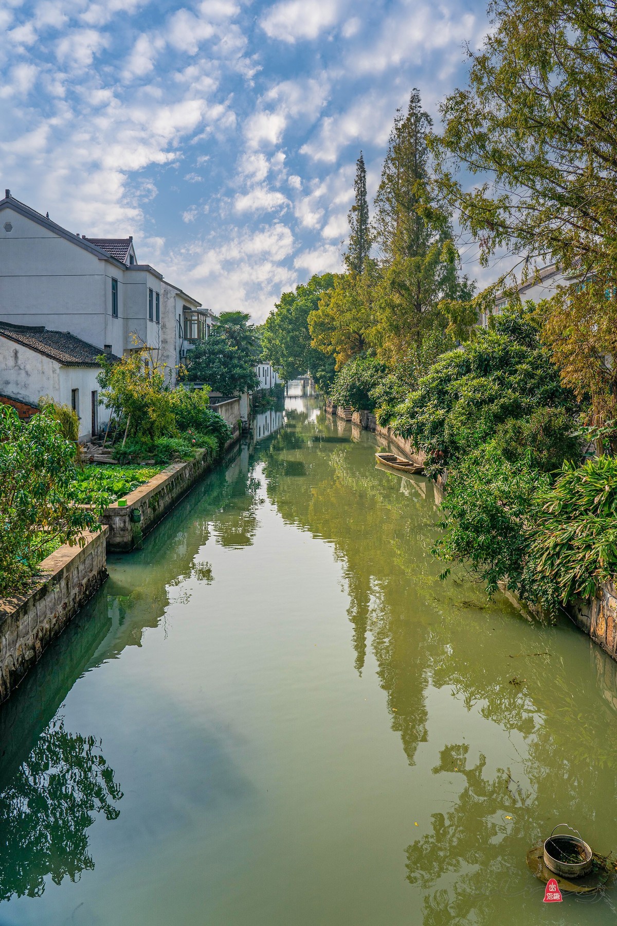 金色的稻田，丰收在望