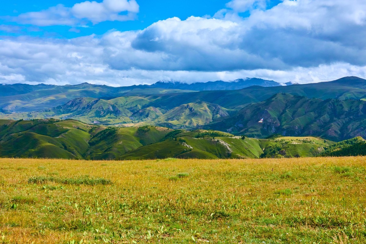夏末秋初的八美