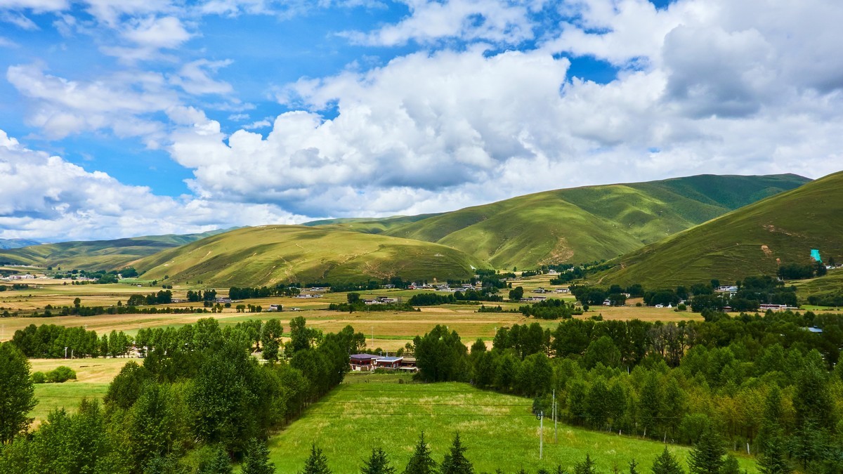 夏末秋初的八美