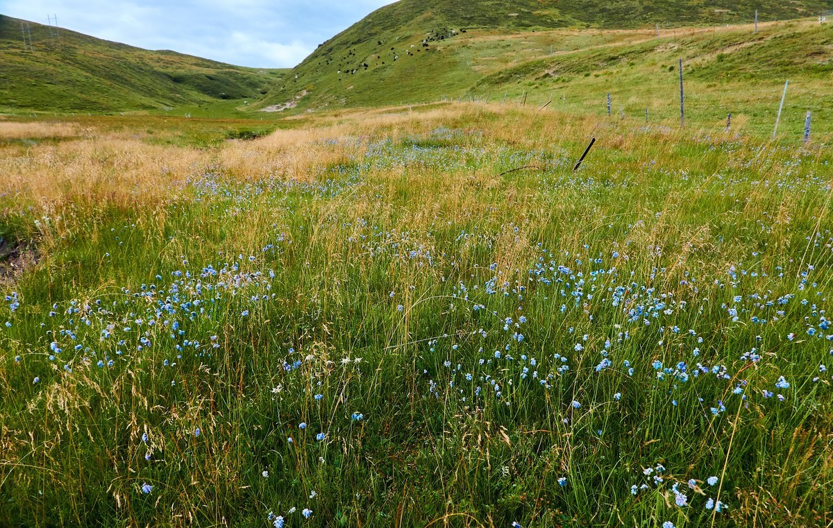 夏末秋初的八美